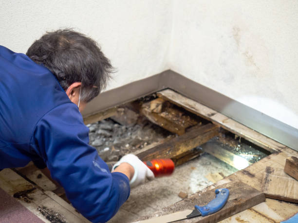 Crawl Space Mold Removal in Seneca, SC